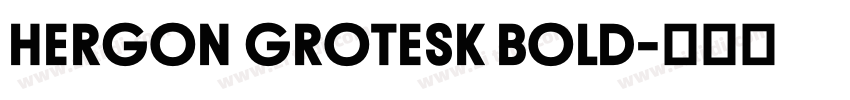 HERGON GROTESK BOLD字体转换